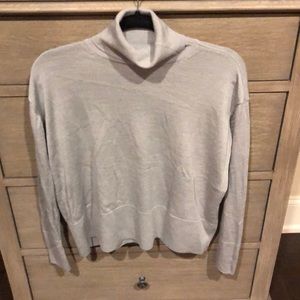 Everlane  turtle neck sweater